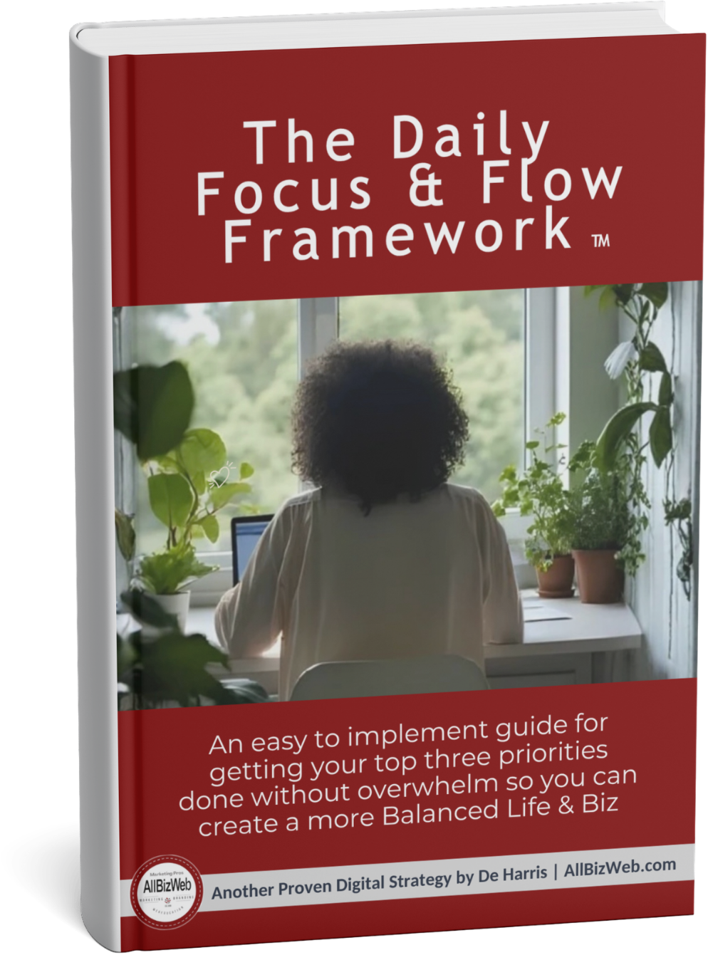 daily focus and flow framework