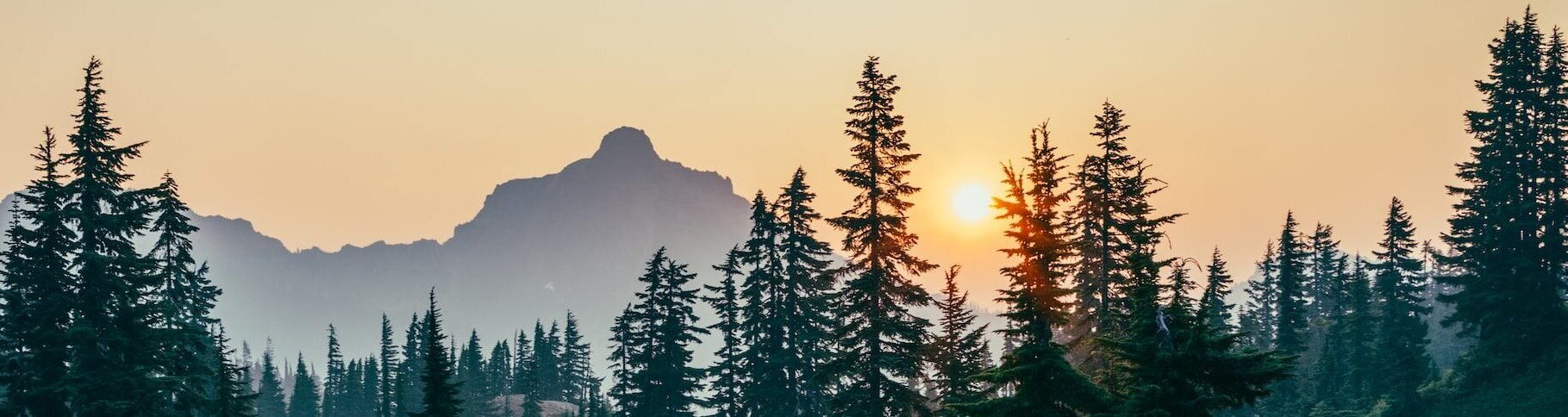 Simplified Marketing Strategy